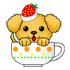 Dog in the teacup