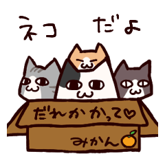 ***cat Sticker***