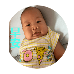 鯨魚寶寶生活版