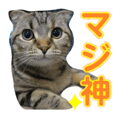 Cherry_20200722151943