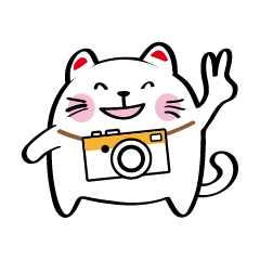 Lucky Momo The Camera Cat