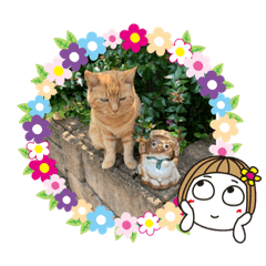 chie_yopi