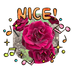 chie_20200722155935