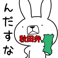 Dialect rabbit [akita2]