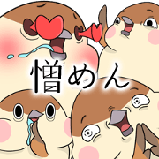 Lovable sparrow Mr