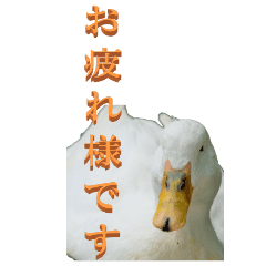 仕事用で使う言葉をアヒルから Big Lineクリエイターズスタンプ Stamplist 仕事用で使う言葉をアヒルから Big Lineクリエイターズスタンプ Stamplist