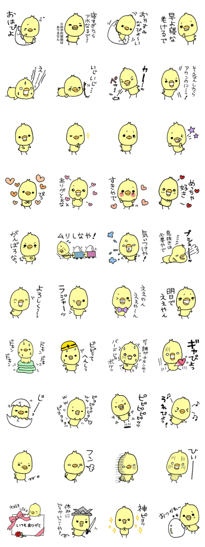 Chick of Naniwa