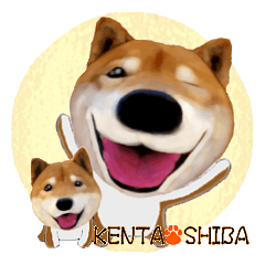 Kenta Shiba 2