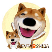 Kenta Shiba 2