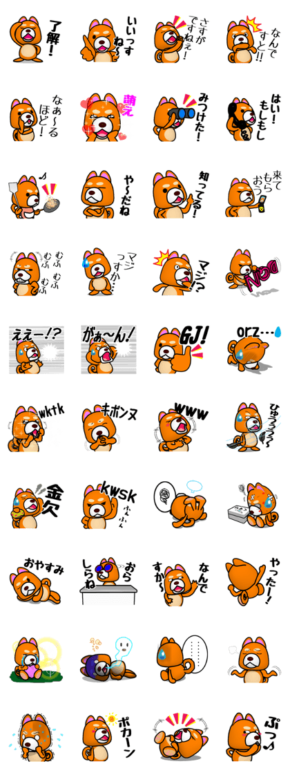 Slightly cool Japanese Dog Shiba BUNTA 2