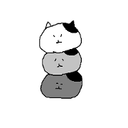 In the loose cat 2.