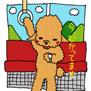 Bivi of the toypoodle 2