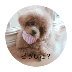 hana_20200722210315