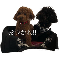 saya_20200722232837