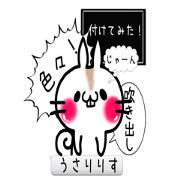 USARIRisu 10