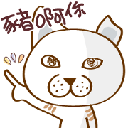 Cute Animal Office