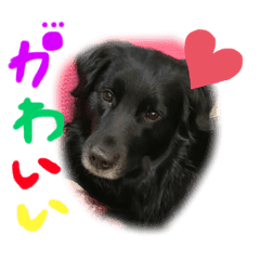 いぬ Lineクリエイターズスタンプまとめ Stamplist Part 18 いぬ Lineクリエイターズスタンプまとめ Stamplist Part 18
