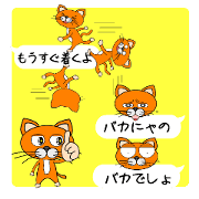 Conversation becomes a cat2
