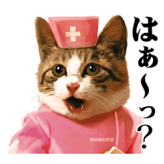 なめ猫 Perlorian Japaneseclass Jp