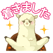 Mr. Karepaka