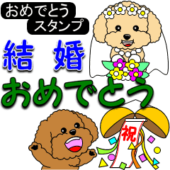 トイプーのおめでとうスタンプ Line スタンプ Line Store