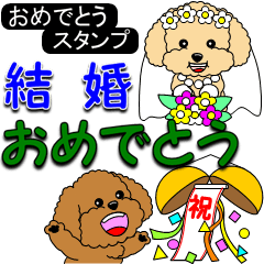 Congratulations sticker of Toy Poodle