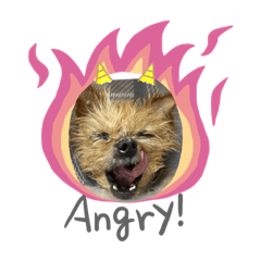 hikari_20200722192428