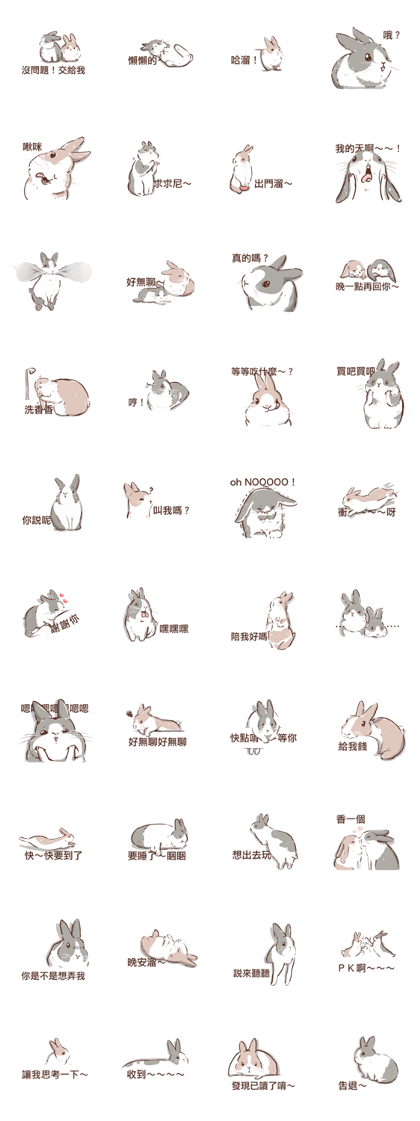 Adorable bunny's 2