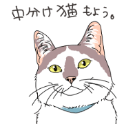 center pattern cat