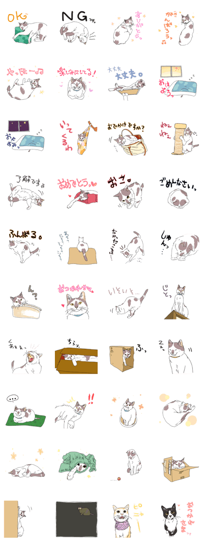 center pattern cat