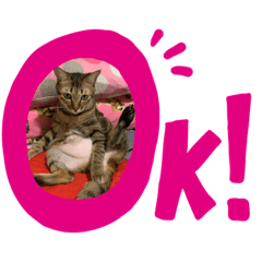 多力家族日常生活