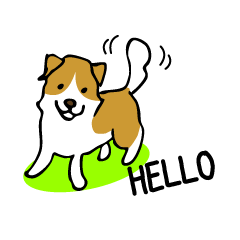 Kinako the lop-eared dog