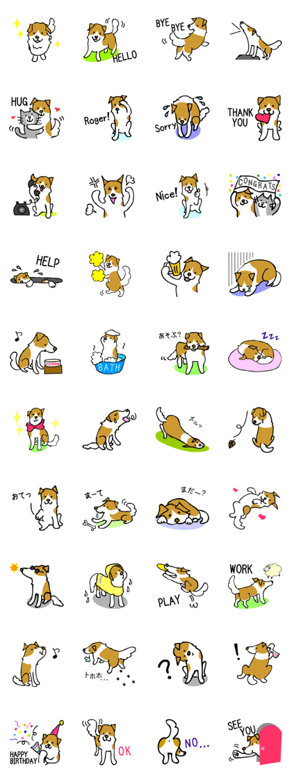 Kinako the lop-eared dog