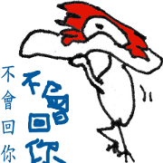 CrazyMuscovy Duck