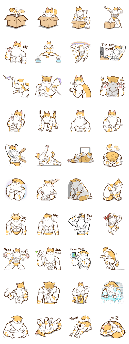 Chiffon the Cat (International)