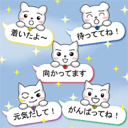 Colorful balloon Sticker of cat