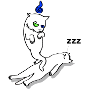 Cat Soul
