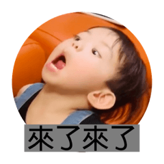 小蔣、Q蛋