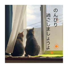 panda_20200723000955