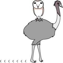 emu and barn owl