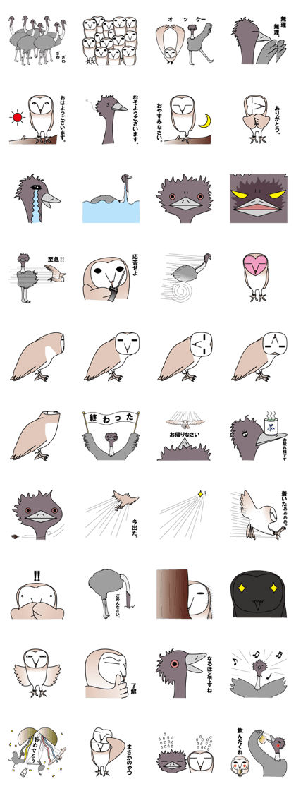 emu and barn owl