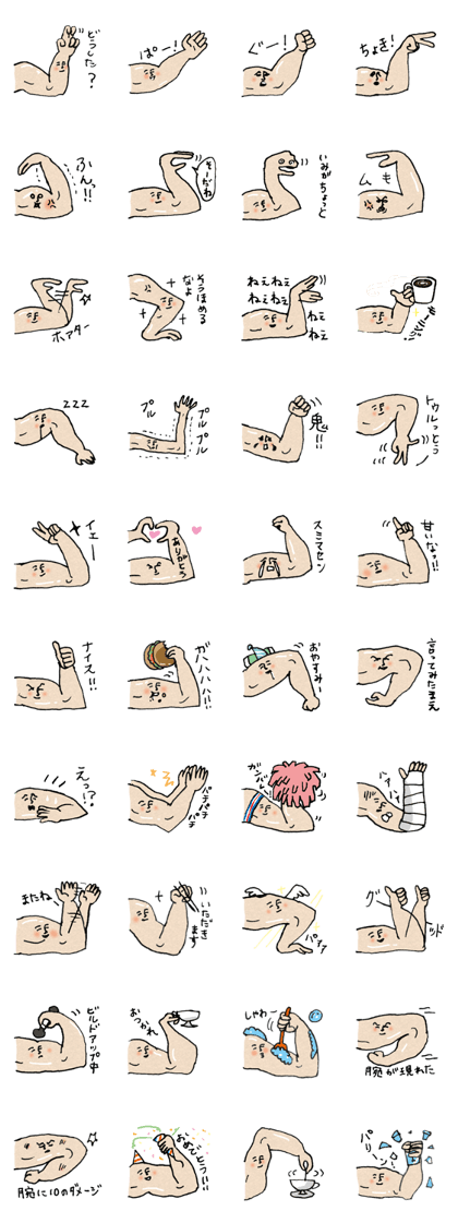 Muscles of the arm