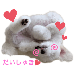 ayano_20200723003319