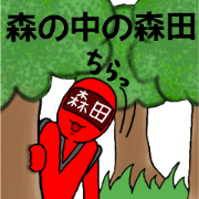 morita ranger