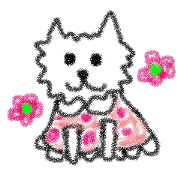 westie 4