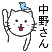 Cat to NAKANO
