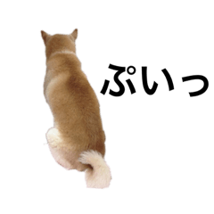 asuka_20200722234925