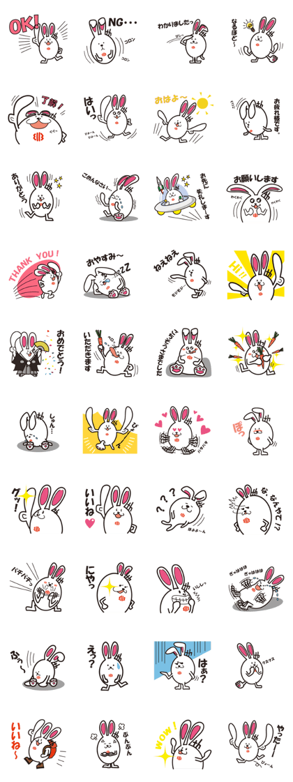 KYORABBIT 1