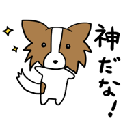 I love papillon.