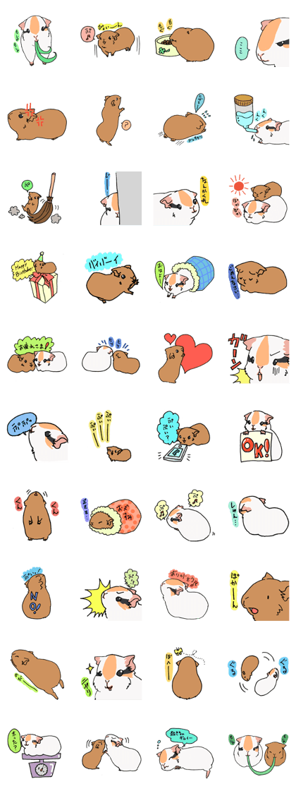 Cavy Sticker